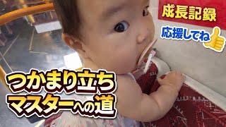 【オーストラリア育児🇦🇺】つかまり立ちに慣れて来た様子😆