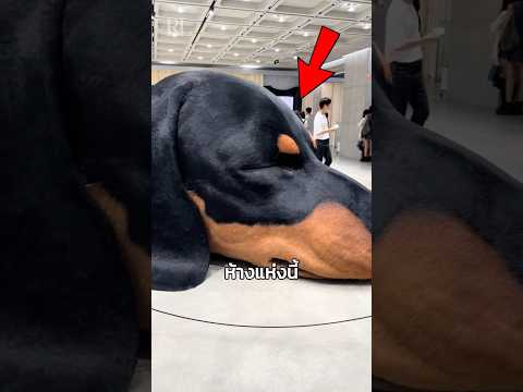ทุกคนคิดว่ามันเป็นรูปปั้น 😳 #viral #shorts