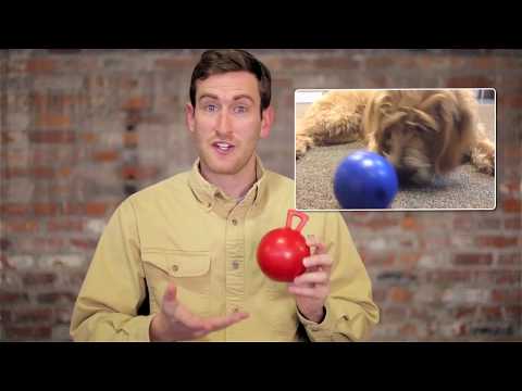 Игрушка для собак Jolly Pets TUG-N-TOSS гиря 20 см Красный (408RD) - фото 4 - id-p1897448136