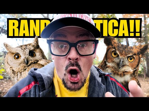 TERRIFYING RANDONAUTICA EXPERIENCE - APP IS REAL