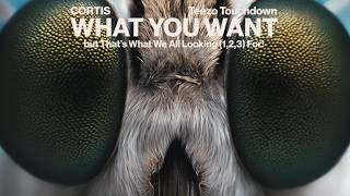 Download lagu What You Want (CORTIS, Teezo Touchdown) but That's What We're All Looking (1,2,3) For! mp3