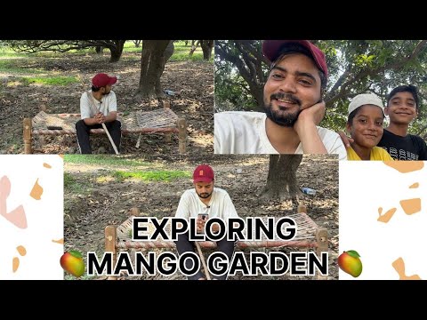 🍋 Exploring a Lush Mango Garden | Nature Vlog 🌿 |Syed Adeeb Yaqub | #youtube #vlog #mr.say007