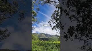 #entertainment: Shawn Mendes - There&#39;s Nothing Holdin&#39; Me Back  #viral #pop #music #song #video