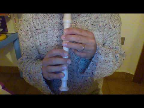 My heart will go on flauto