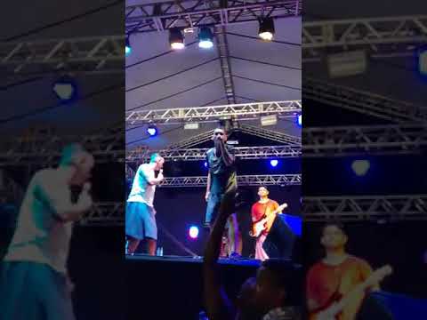 Mc Alvinho apresentação do carnaval de 2020