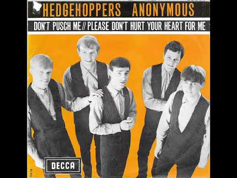 Don't push me / The Hedgehoppers Anonymous.