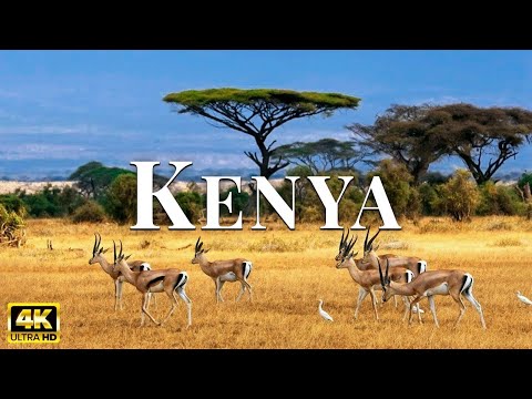 FLYING OVER KENYA 4K UHD   Soothing Piano Music With Stunning Beautiful Nature For Stress Relief