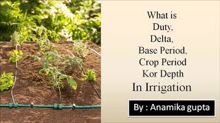 WHAT IS DELTA, DUTY, BASE PERIOD ,KOR DEPTH, CROP PERIOD IN IRRIGATION