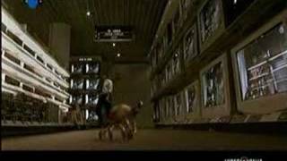 360 Gradi Ft Fiorello &quot;E Poi Non Ti Ho Vista Piu&#39;&quot;