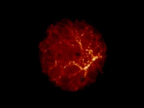 COSMOPHONE III de Nikolay Mihaylov