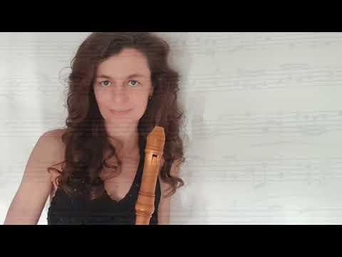 Pierre Danican Philidor - Suite No.5 in e minor | Flute & Bc I Stephanie Bosch