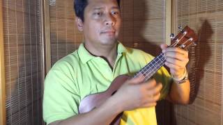 Beatles - Till There Was You Ukulele Cover