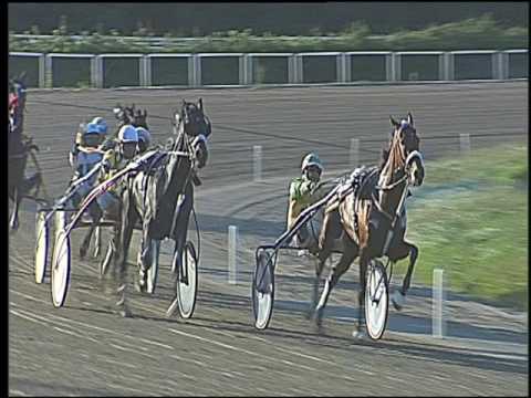 Trotto 23/10/2016 - 5ª corsa