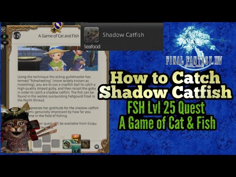 FFXIV FSH lvl 25 Job Quest A Game of Cat and Fish how to catch Shadow Catfish