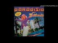 Paradisio Bailando Instrumental Cover