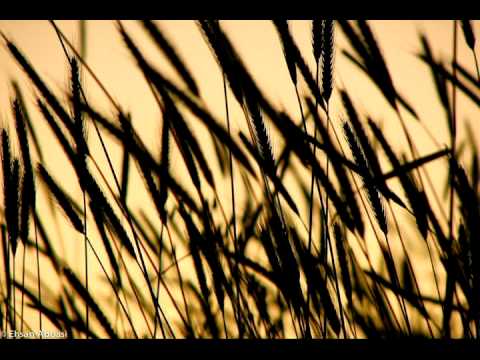 Thumbnail for The Jesus Lizard - Gladiator (Idful Studios Sessions Demo) by The Jesus Lizard