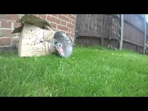 Slow motion air gun glass breaking at 260 fps!!