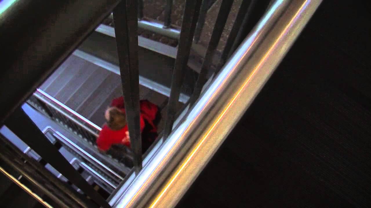 Travel Assignment Matt Rigby