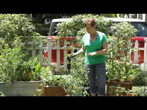 How to Use Store-Bought Tomato Cages : Garden Space
