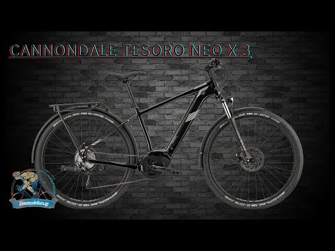 CANNONDALE TESORO NEO X 3