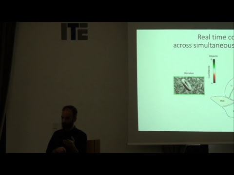 IMBB SEMINAR- Emmanouil FROUDARAKIS, January 31st, 2019