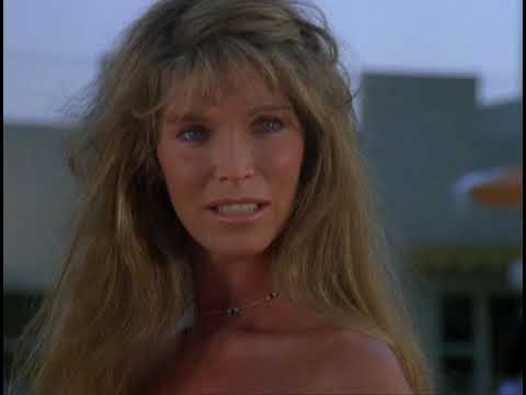 Fall guy season 1-2(23)