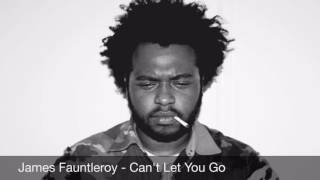 James Fauntleroy - Can&#39;t Let You Go