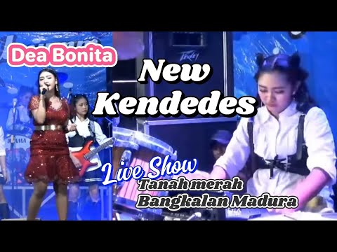 Dea Bonita - Camelia (New Kendedes)