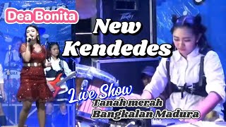 Download lagu Dea Bonita - Camelia (New Kendedes) mp3