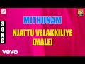 Mithunam Njattu Velakkiliye Male Malayalam Song Mohanlal Urvashi