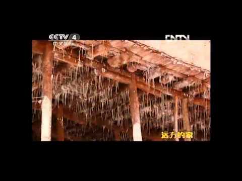 IVA 2014 Sfumato Zhou Ping