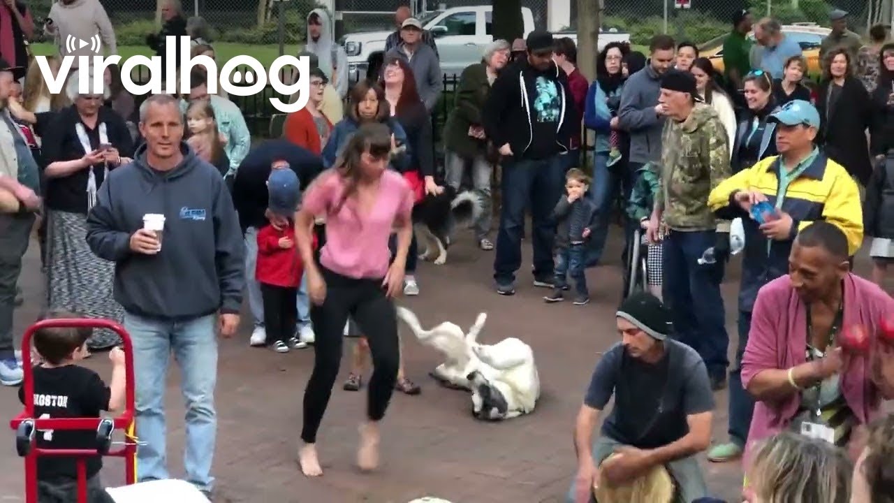 Dog Living His Best Life at the Asheville Drum Circle || ViralHog