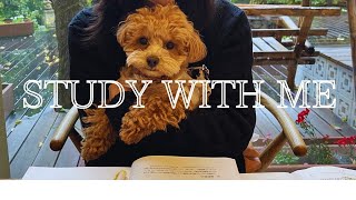 【STUDY WITH ME】資格を目指す主婦|夜の部30min🌉勉強📚✨