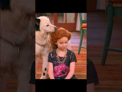 All-powerful dog!#shorts