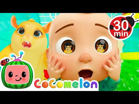 Lost Hamster Song + More CoComelon Animal Time | Animals for Kids