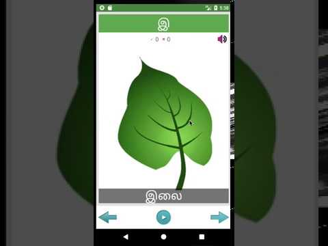 Learn Tamil Basics Video
