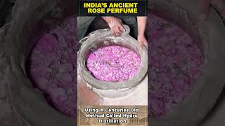Inside India’s Rose Perfume Factory
