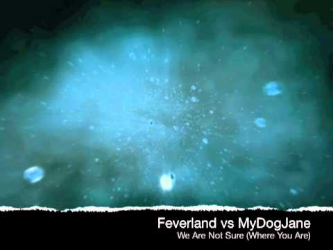 Feverland vs MyDogJane -We Are Not Sure (Where You Are)