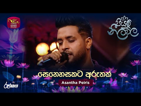 Senehasakata Aruthak | සෙනෙහසකට අරුතක් | Asantha Peiris | Piyum Neela Vila | Roo Tunes