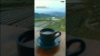 Download lagu StoryWA Menikmati Hidup || Damai Bersamamu || Felix Cover mp3