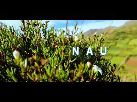 Alan walker style Alborada- ananau ( video 2021)