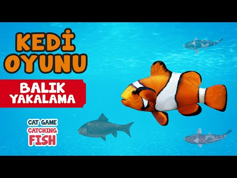 Kedi Oyunu 12 - BALIK YAKALAMA | Kedilerin İzlemesi İçin Süper Balık Yakalama Videosu 😻