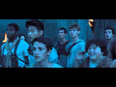 The Maze Runner