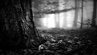 Uaral - Eternal Beauty Of The Trees