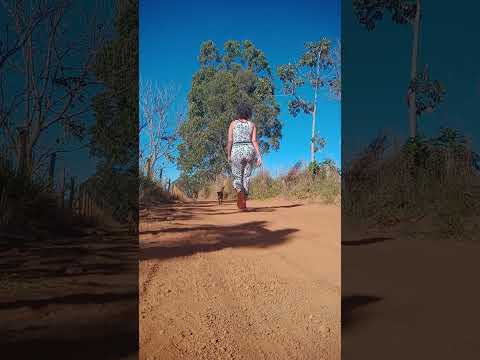 Caminhada sertaneja Comunidade Santa Rita município Vianópolis Goiás Brasil