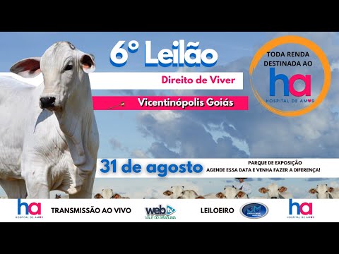 6º LEILÃO DIREITO DE VIVER VICENTINÓPOLIS GOIÁS 31 AGOSTO 2025 DOMINGO 14h PARQUE DE EXPOSIÇÃO