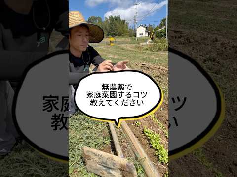 冬に肥料を与える植物はどれですか?肥料の種類と使い方は？  庭園