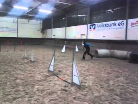 Agility Training Natter
