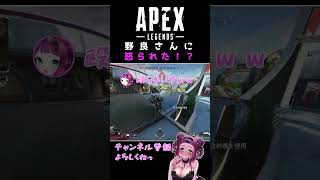 APEX女子が野良に怒られた！？ #shorts #vtuber #apex