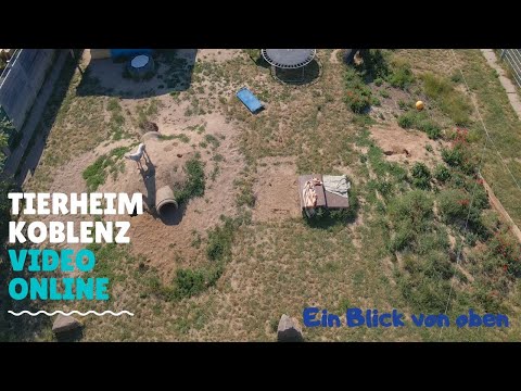 Tierheim Koblenz ~~~Ein Blick von oben!!